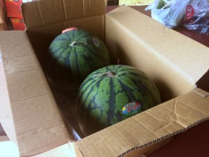 H29バーベキュー (3)