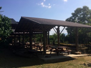 H29バーベキュー (2)